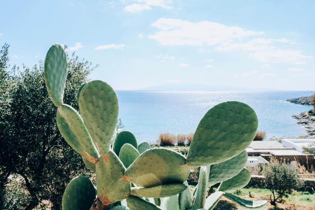 The Elaia House Mykonos Villa Ornos  Luaran gambar