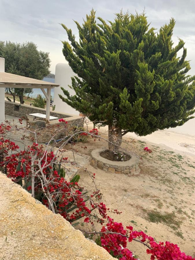 The Elaia House Mykonos Villa Ornos  Luaran gambar